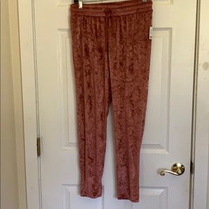 NWT Urban Outfitters velour drawstring pant